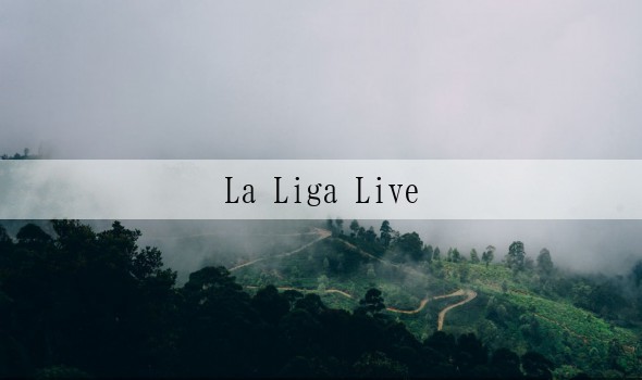 La Liga Live